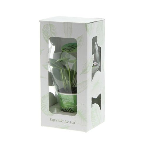 Lille Smylieplante - Billede 2